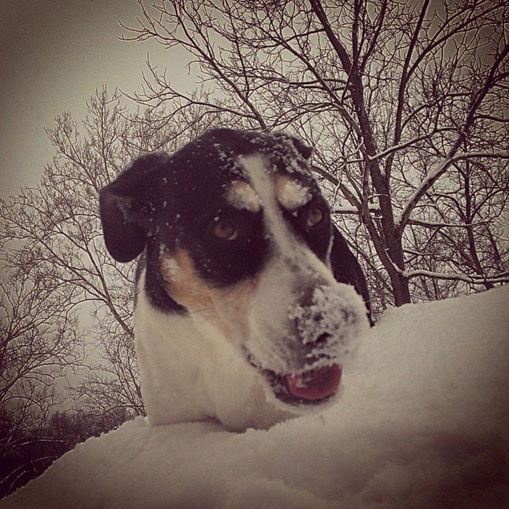 Meet your Posher, Amie